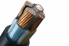 Armored Cable