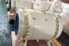Ball Valves