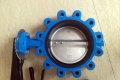 Butterfly Valves
