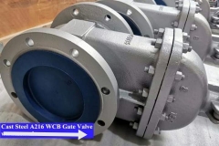 Gate Valves