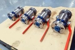 Stainless Steel Ball Valves